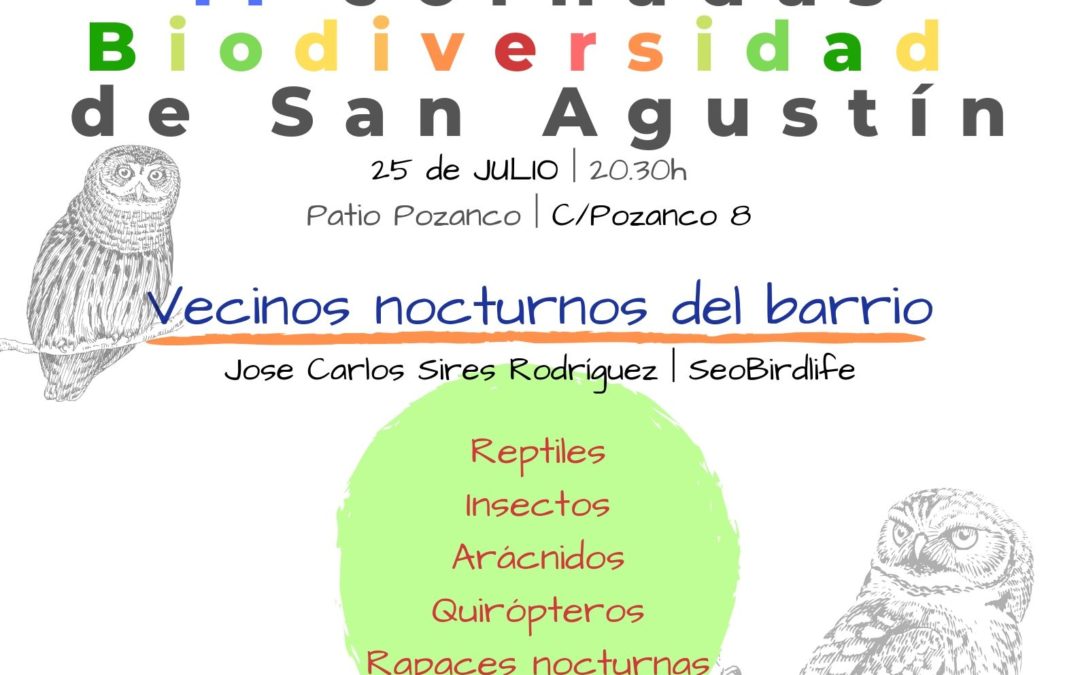 Vecinos nocturnos del barrio