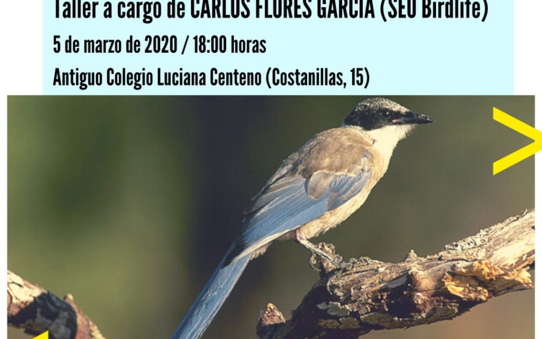 Aves forestales de Sierra Morena