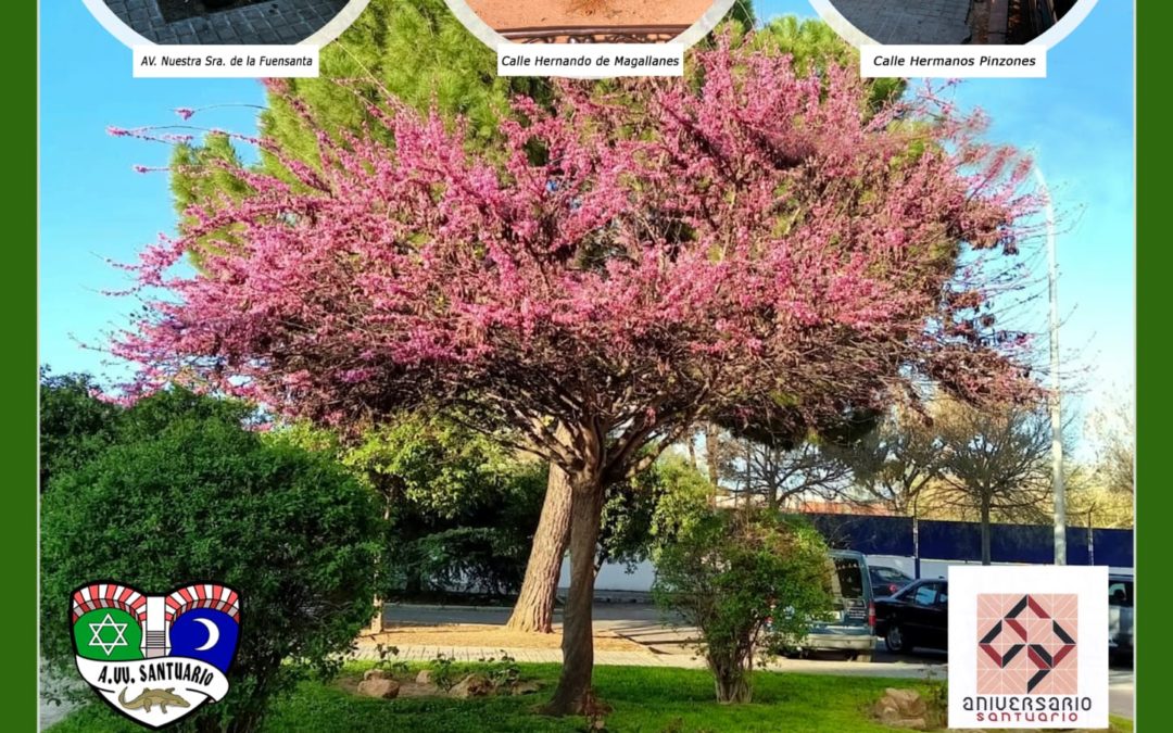Santuario por una Córdoba Verde y Cirkomanía por el clima