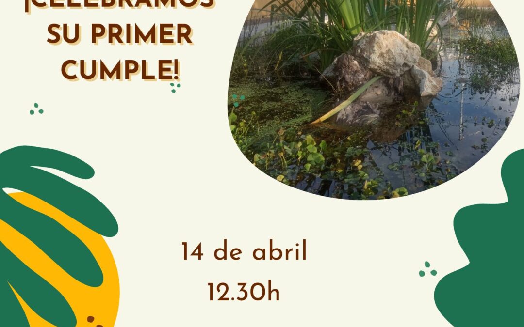 Primer cumple de la Fuente Naturalizada de Orive