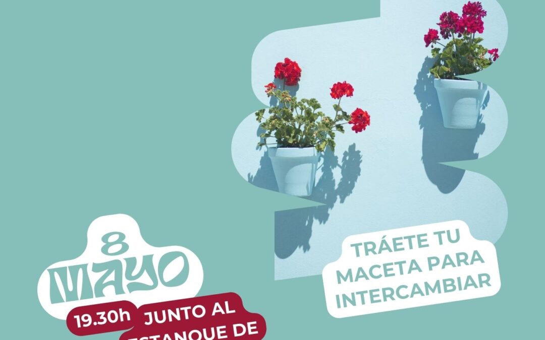 Trueque de macetas