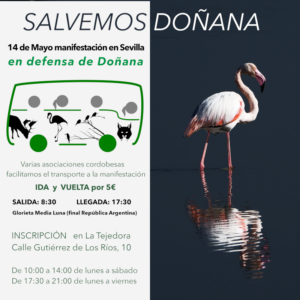 Salvemos Doñana. Bus a Sevilla