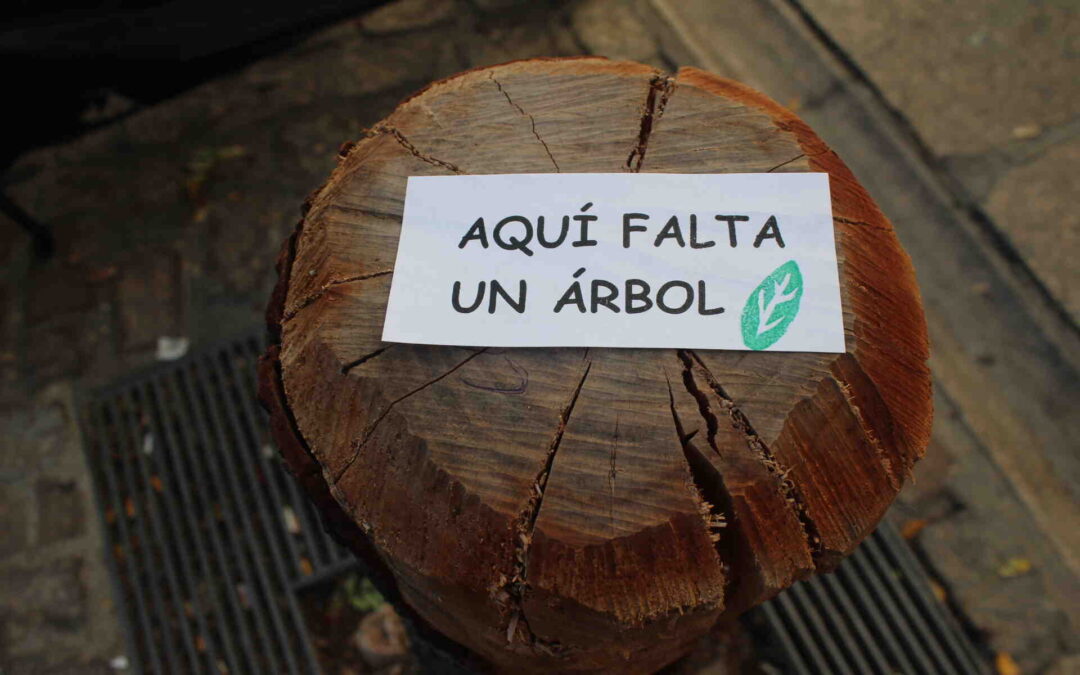 Pacto de Ciudad por la Reforestación