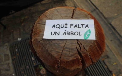 Pacto de Ciudad por la Reforestación