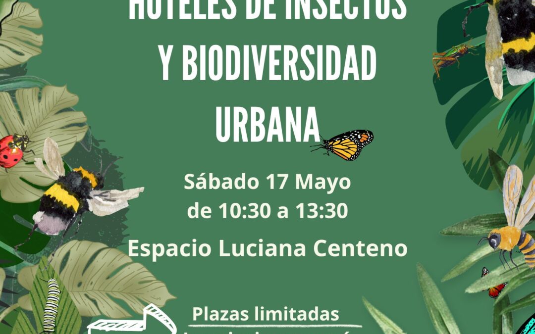 Taller: Construcción de Hoteles de Insectos