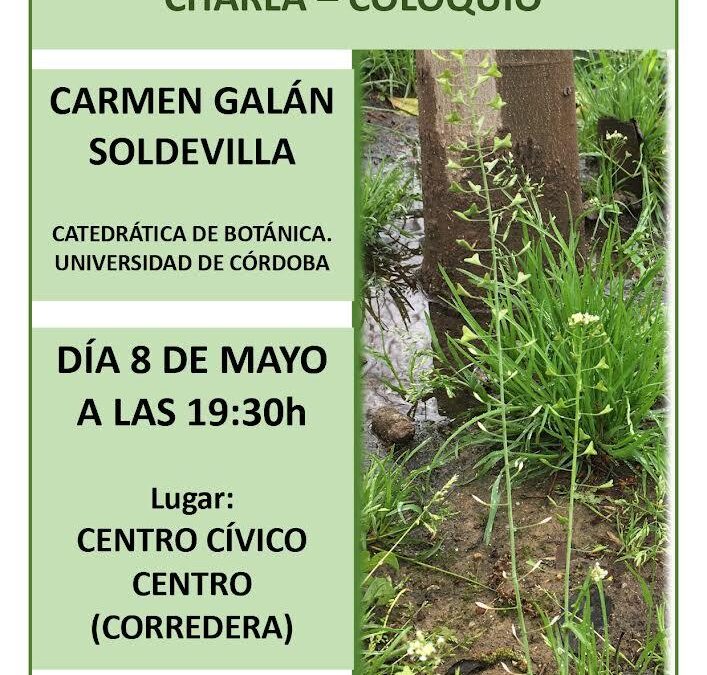 Alcorques vivos. Charla-coloquio